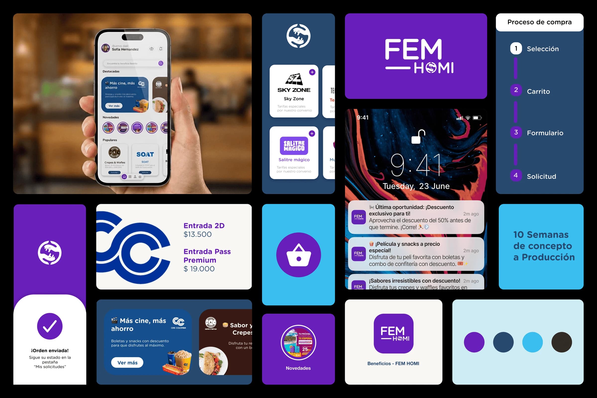 Aplicación móvil de FEM HOMI